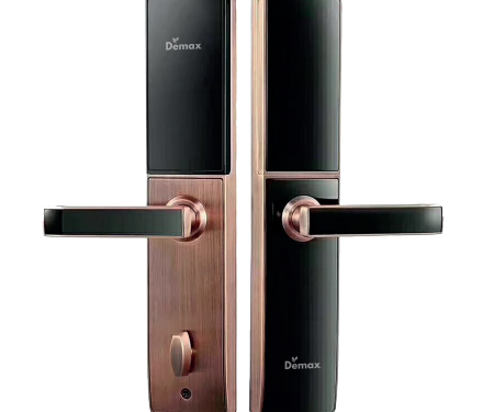 Khóa cửa điện tử Demax SL621