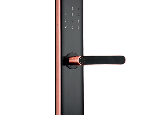 Khóa cửa thông minh Demax SL630 AC