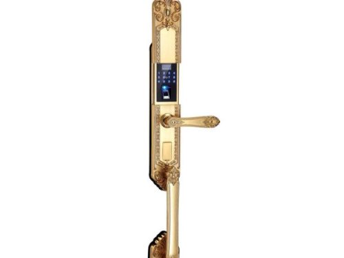 Khóa cửa vân tay đại sảnh Kassler KL-979 Gold