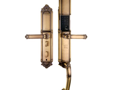 Khóa cửa điện từ Demax SL821 AC cho đại sảnh - biệt thự