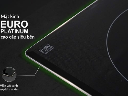 Mặt kính bếp từ Eurosun EU-T256Pro