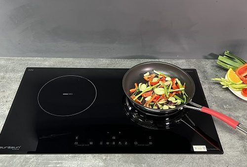 Thiết kế của bếp từ kết hợp hồng ngoại Eurosun EU-TE259Pro