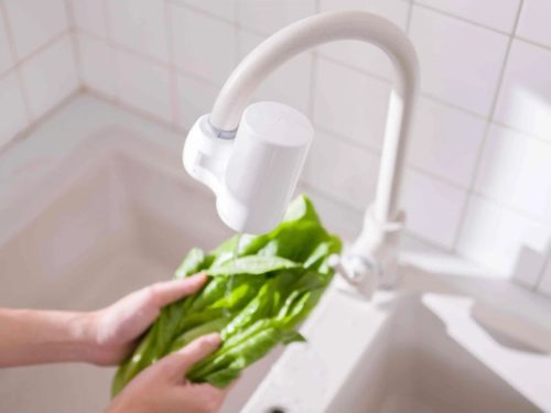 Bộ lọc thay thế Cleansui EFC41W 2 Ảnh thực tế bộ lọc thay thế Cleansui EFC41W