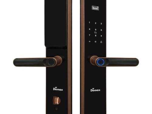 Khóa thông minh Demax SL-C622 AC APP WIFI