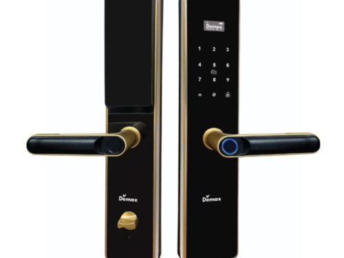 Khóa thông minh Demax SL-C622 CG APP WIFI