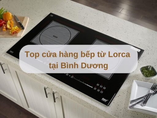 Top cửa hàng bếp từ Lorca tại Bình Dương