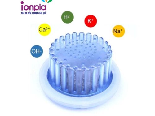 Chai tạo nước kiềm ION-AL 2 Ảnh chai tạo nước kiềm ION-AL