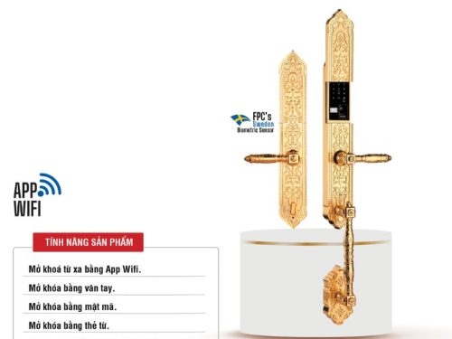 Khóa thông minh Faster FS009-24K