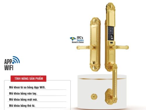 Khóa thông minh Faster FS039-24K