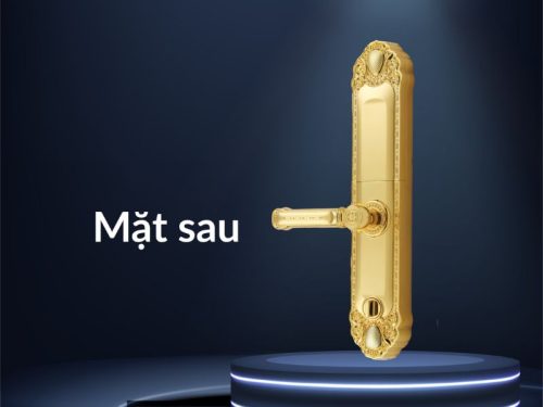 mat sau khoa thong minh faster fs039 1 24k