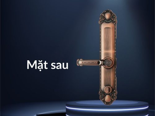 mat sau khoa thong minh faster fs039 1 ac