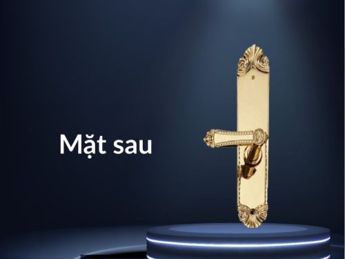 mat sau khoa thong minh faster fs119 24k app