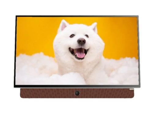 Tivi Google Xách Tay Di Động Full HD 24 Inch Coocaa 24LP6000G (Tay Cầm Da)