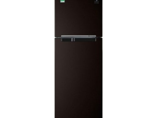 Tủ lạnh Samsung Inverter 236 lít RT22M4032BY/SV