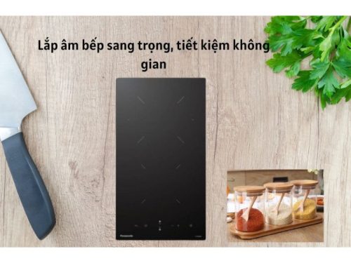 Bếp hồng ngoại Panasonic KY-R32AELYUE 2 hinh anh bep hong ngoai panasonic ky r32aelyue